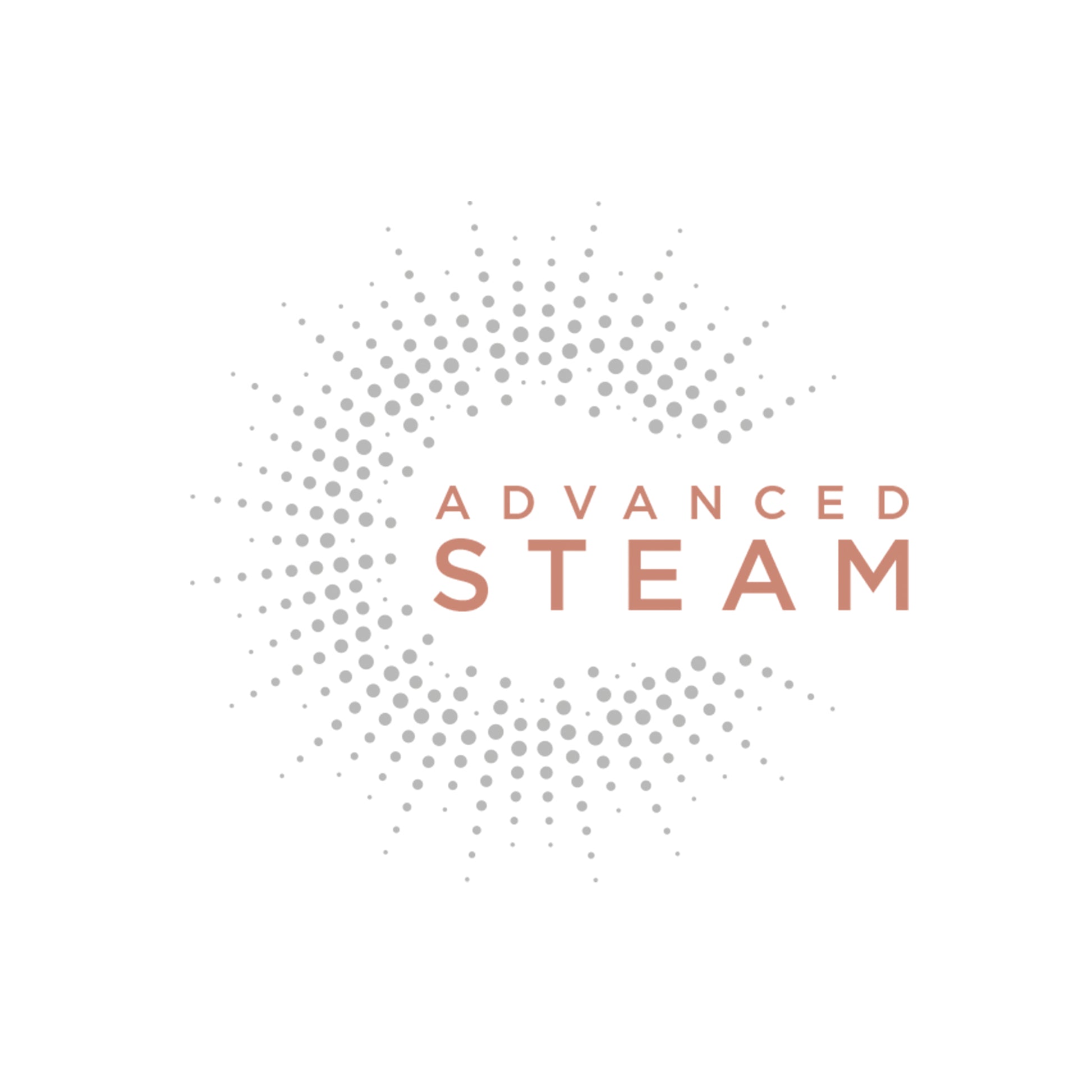 Steam Shine Styler Glätteisen